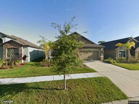 Thicket Wood, RIVERVIEW, FL 33579