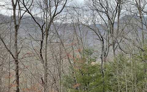 Lot 6 Tantrough Farms, HIAWASSEE, GA 30546