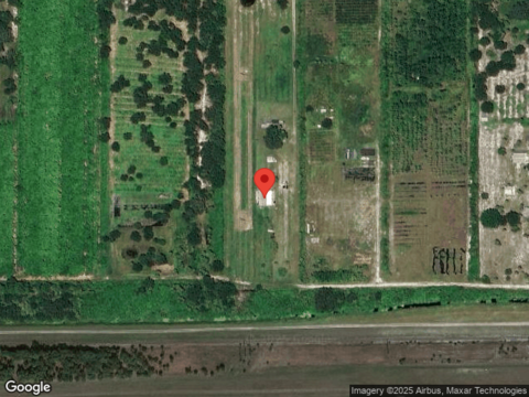 Cardamine, INDIANTOWN, FL 34956