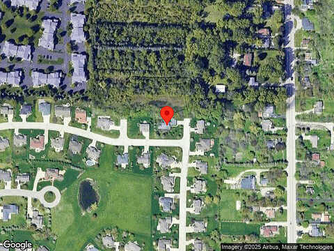 Bald Eagle, MOUNT PLEASANT, WI 53406
