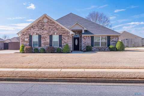 13341 Trumpet Drive, Madison, AL 35756