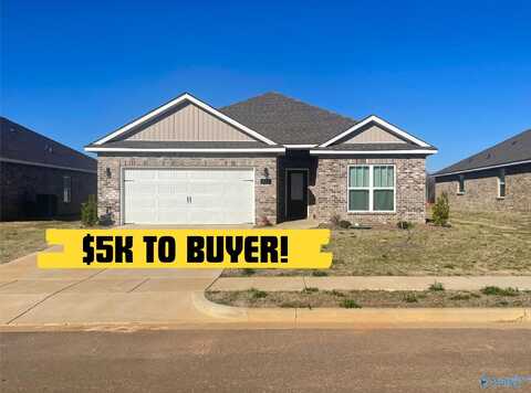 212 Pine Island Avenue, Toney, AL 35773
