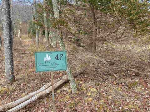 Lot 43 Canal Street, Davis, WV 26260