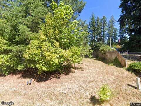 158Th, YELM, WA 98597