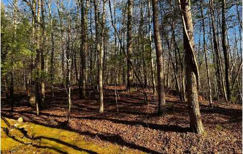 Lot 32 Oceola Drive, Ellijay, GA 30540