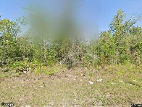 N Lime Dr, Citrus Springs, FL 34433