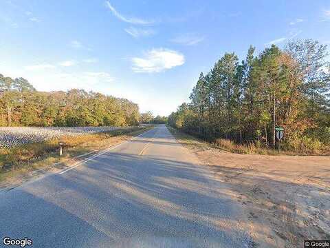 County Line Road, Hinesville, GA 31313