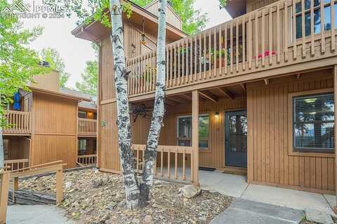 Forest Edge Road #B-11, Woodland Park, CO 80863