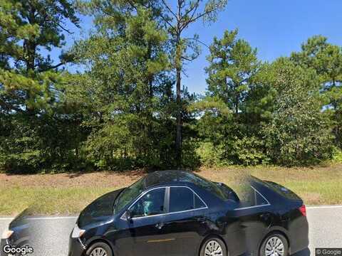 Youngs Mill Rd Lot 91, Hogansville, GA 30230