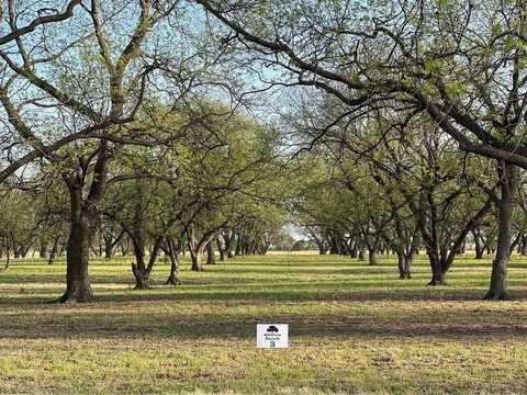 Tbd CR 461, De Leon, TX 76444