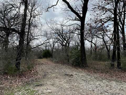 Lot 1 Bullrun Square, Streetman, TX 75859