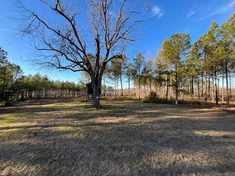 --6 Corley Pond Road, Batesburg Leesville, SC 29006