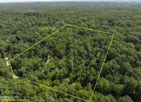 Tbd Granny's Branch Road, Pineville, MO 64856