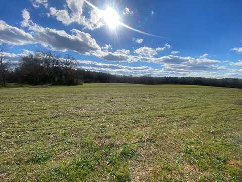 04 County Road 3328, Brundidge, AL 36010