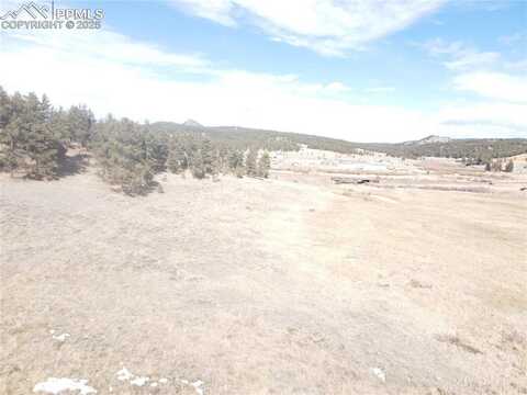 Highway 24, Florissant, CO 80816