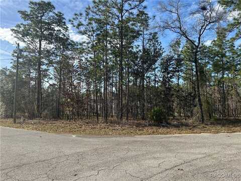 4 Balata Court, Homosassa, FL 34446