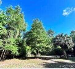 Hwy 40 E, Inglis, FL 34449