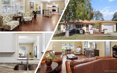 9196 N Fawn Way, Citrus Springs, FL 34434