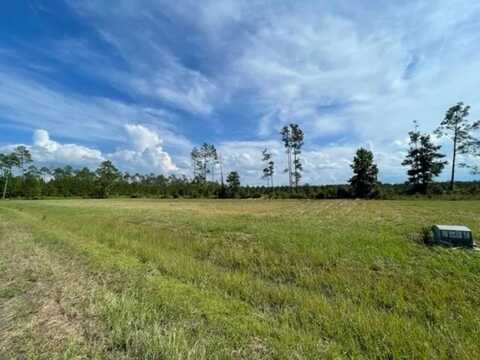 lot11&12 Spanish Moss Way, Wewahitchka, FL 32465