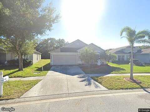 Early Run, RIVERVIEW, FL 33578