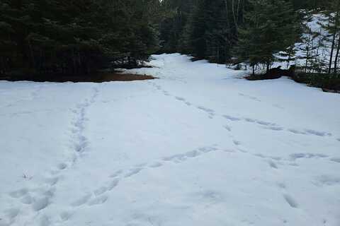 Mountain Meadows, NAPLES, ID 83847