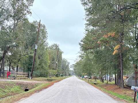 Thelma, NEW CANEY, TX 77357