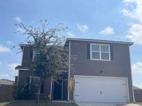 Begonia, SAN ANTONIO, TX 78222