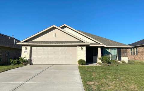 Terra Vista, MONTGOMERY, TX 77356