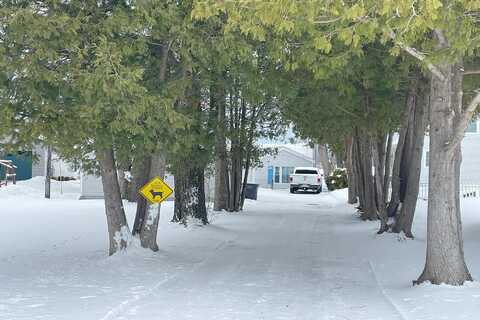 Cedar Lake, GREENBUSH, MI 48738