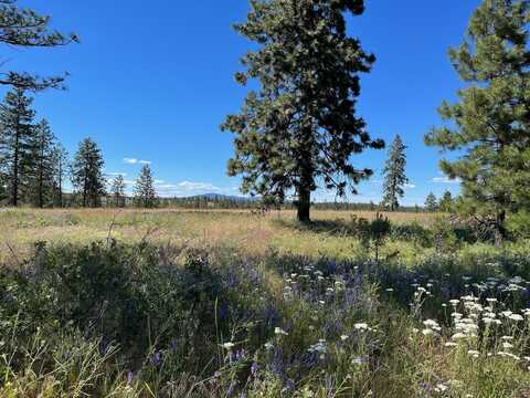 Lot B Kronos Short Plat Ln, Davenport, WA 99122