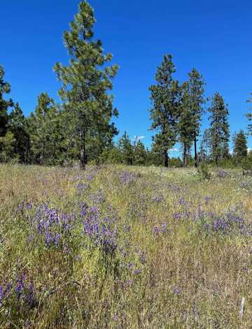 Lot A Kronos Short Plat Ln, Davenport, WA 99122