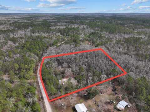 17641 Aucilla River Estates Road, Lamont, FL 32336