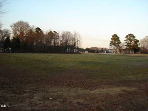 0 Raiford Road, Erwin, NC 28339