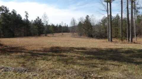 30+/-ac Whitson Hollow Road, RED BOILING SPRINGS, TN 37150