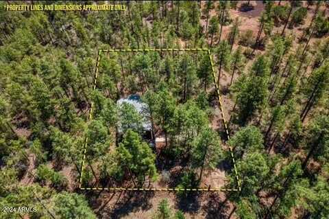 3207 S WHITE MOUNTAIN Road, Show Low, AZ 85901