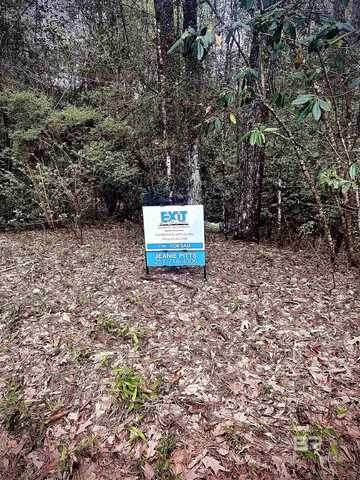 Pine Court, Saraland, AL 36571