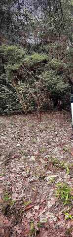 Pine Court, Saraland, AL 36571