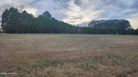 Lot #5 Waterfall Drive, Whiteville, NC 28472