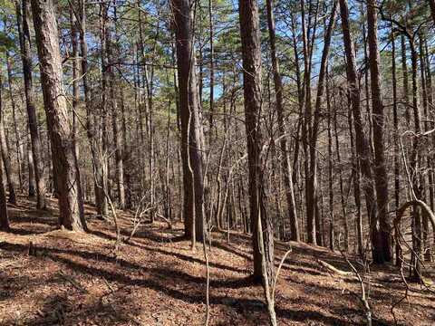 16 Hillside Trail, Mount Ida, AR 71957