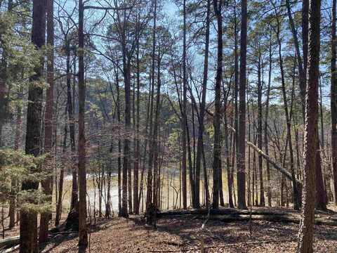 17 Southridge Drive, Mount Ida, AR 71957