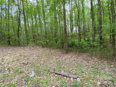 Sunrise Trail, Lincolnton, NC 28092