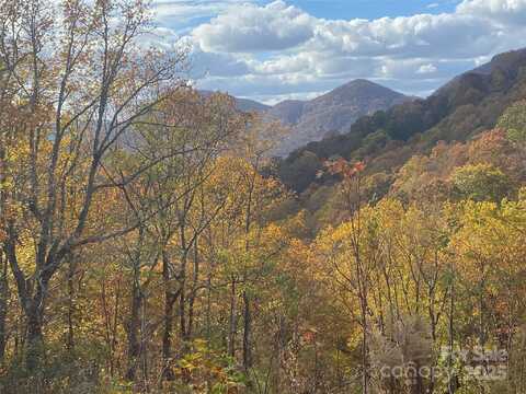 Holland Drive unit: 14, Columbus, NC 28722
