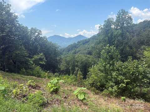 Holland Drive unit: 14, Columbus, NC 28722