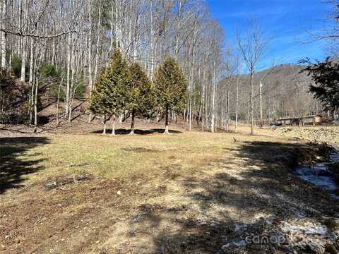 1087 Plum Branch Road, Burnsville, NC 28714