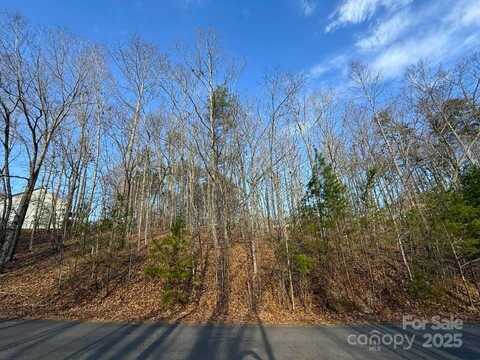 Lot 47 Dublin Lane, Columbus, NC 28722