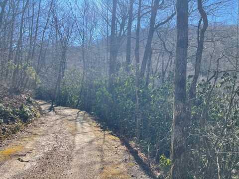 Lot 63 Walnut Gap Rd, Cashiers, NC 28717