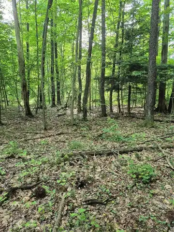 Lot 3 BISCOFF Road, Albion, PA 16401