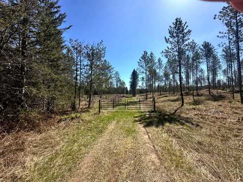 78.5 Ac MONHEIM RD, Conover, WI 54519