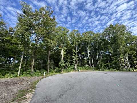 14606 Crest View Court, South Haven, MI 49090