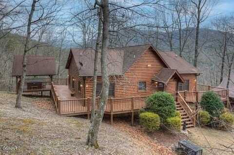 1438 Rocky Top Way, Townsend, TN 37882